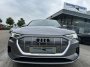 Audi e-tron e-tron 55 quattro 95 kWh S-line | Audi occasions