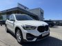 BMW X1 sDrive20i 192pk Executive Aut | BMW occasions