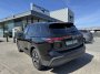Volkswagen Tiguan 1.5 eTSI Life Edition | Volkswagen occasions